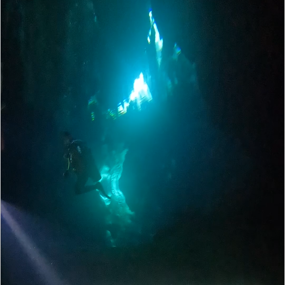 Cathedral Cave Diving in Coron
